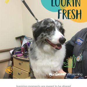 Meet your Posher, Andrea